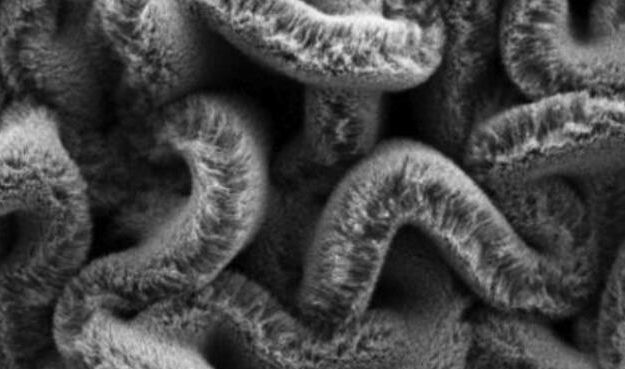 行业新闻：：可拉伸的超等电容器，，，为柔性可衣着装备铺路